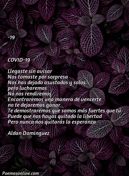 Mejor Poema sobre Covid, Poemas sobre Covid