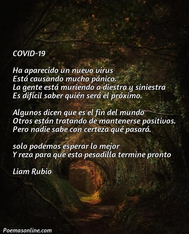 Corto Poema sobre Covid-19, Poemas sobre Covid-19