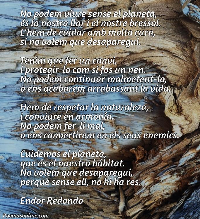 Hermoso Poema sobre Cuidar Planeta de 15 Versos en Catalán, Poemas sobre Cuidar Planeta de 15 Versos en Catalán