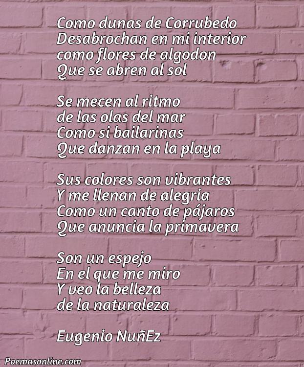 Hermoso Poema sobre Dunas de Corrubedo, Poemas sobre Dunas de Corrubedo