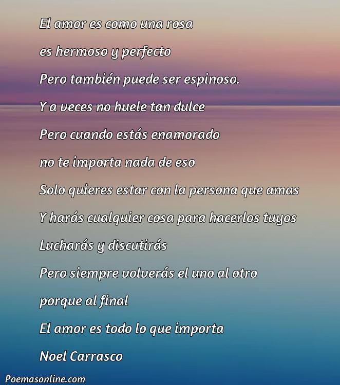 Excelente Poema sobre Enamorarse de Alguien Mayot, 5 Mejores Poemas sobre Enamorarse de Alguien Mayot