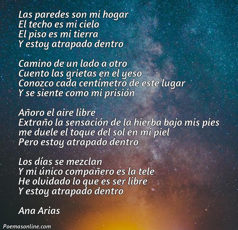 Reflexivo Poema sobre Encierro, Poemas sobre Encierro