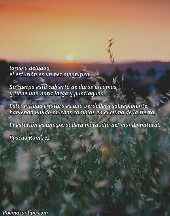 Mejor Poema sobre Esturión, Poemas sobre Esturión