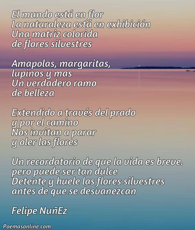 Mejor Poema sobre Flores Silvestres, Cinco Poemas sobre Flores Silvestres