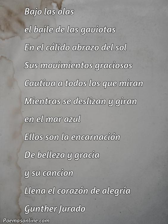 Hermoso Poema sobre Gaviotas, 5 Poemas sobre Gaviotas