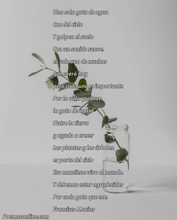 Lindo Poema sobre Gota de Agua, Cinco Poemas sobre Gota de Agua