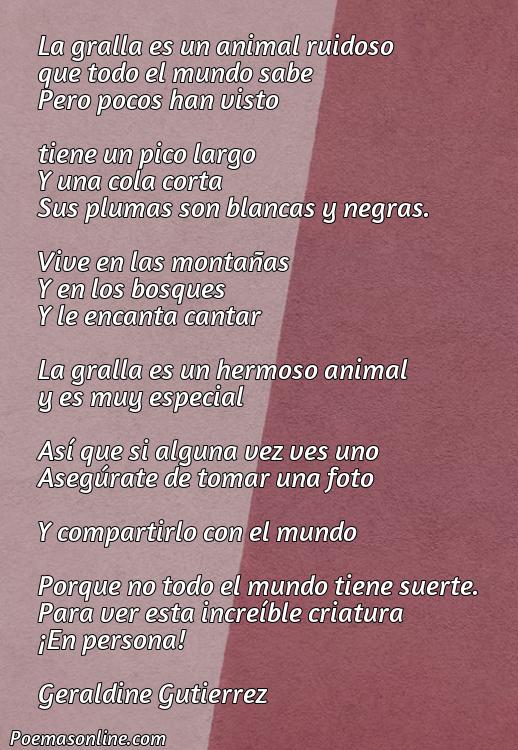 Hermoso Poema sobre Gralla Animal, Poemas sobre Gralla Animal