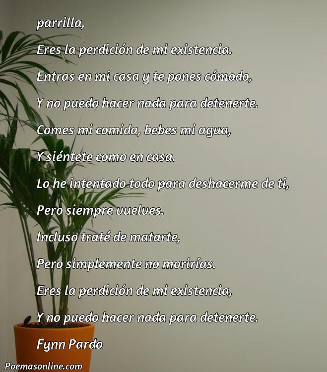 Cinco Mejores Poemas sobre Grillo