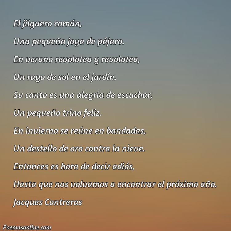 Inspirador Poema sobre Hererillo Común, Cinco Mejores Poemas sobre Hererillo Común