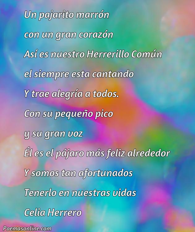 Mejor Poema sobre Hererillo Común, Poemas sobre Hererillo Común