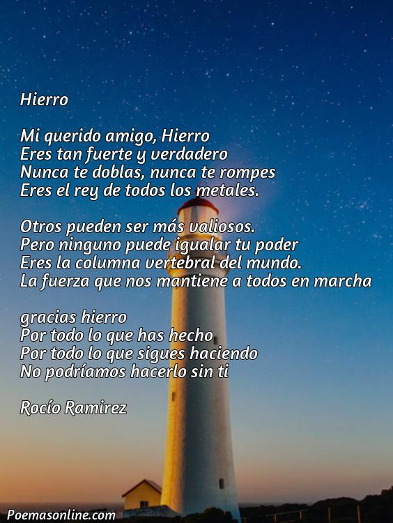 Hermoso Poema sobre Hierro, Cinco Poemas sobre Hierro