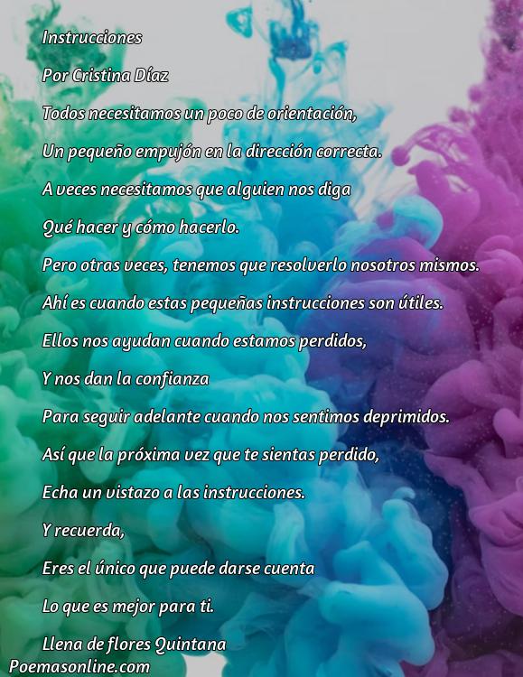 Reflexivo Poema sobre Instrucciones, Cinco Poemas sobre Instrucciones