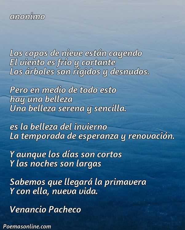 Cinco Poemas sobre Invierno con Autor