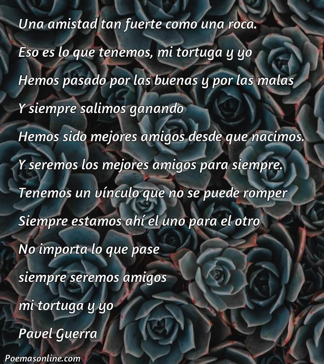 Hermoso Poema sobre la Amistad de las Tortugas, Poemas sobre la Amistad de las Tortugas