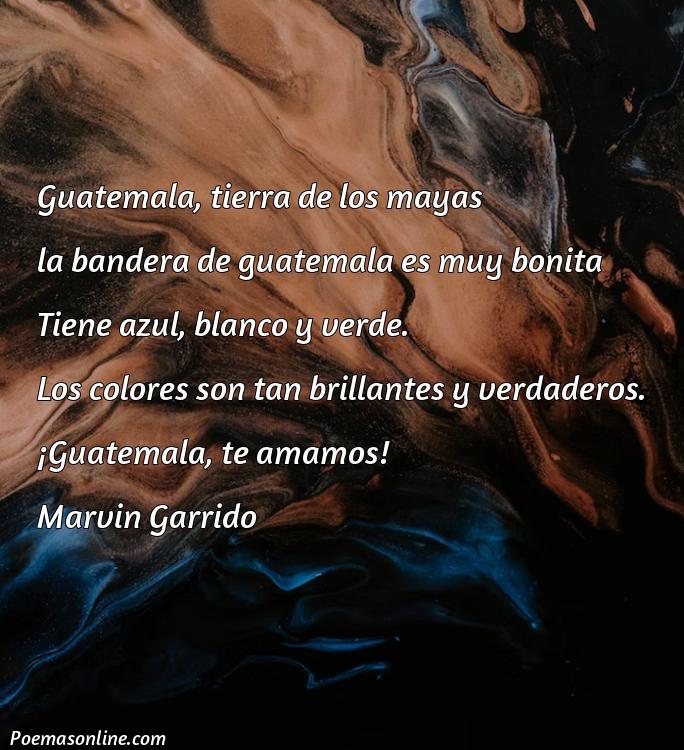 Hermoso Poema sobre la Bandera de Guatemala, 5 Poemas sobre la Bandera de Guatemala