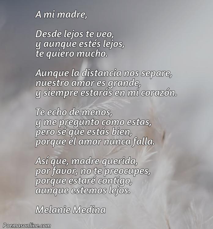 Hermoso Poema sobre la Distancia para una Madre, Cinco Poemas sobre la Distancia para una Madre