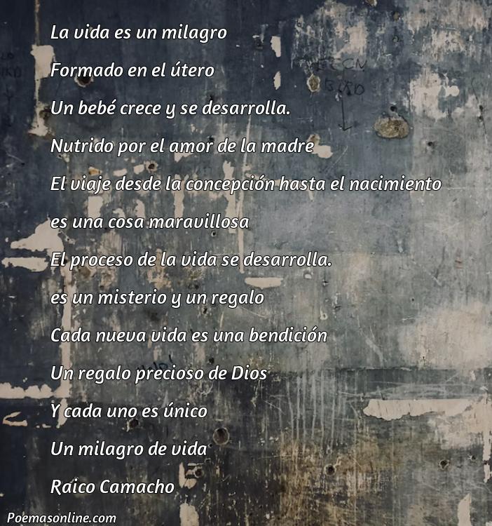 Hermoso Poema sobre la Embriología, Poemas sobre la Embriología