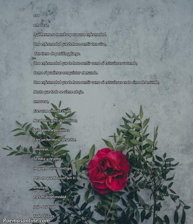 Lindo Poema sobre la Enfermedad Amor, Cinco Poemas sobre la Enfermedad Amor