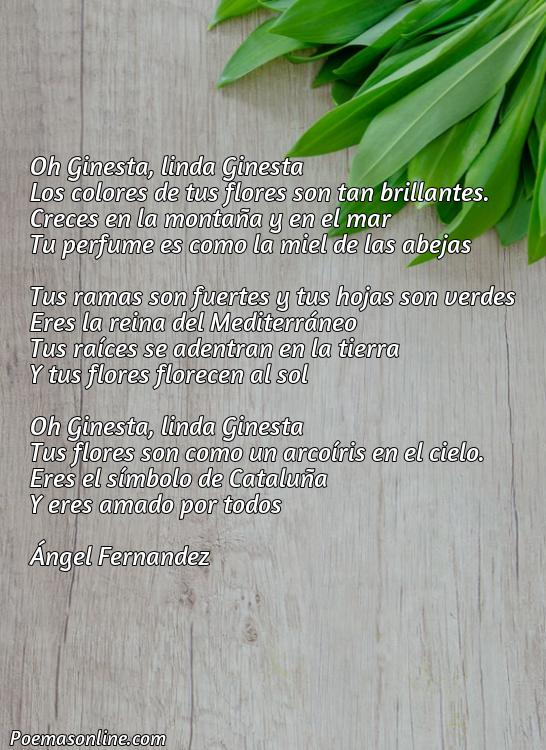 Hermoso Poema sobre la Ginesta, 5 Mejores Poemas sobre la Ginesta