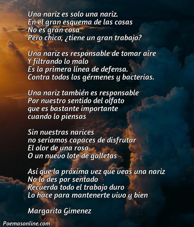 Corto Poema sobre la Nariz, Poemas sobre la Nariz
