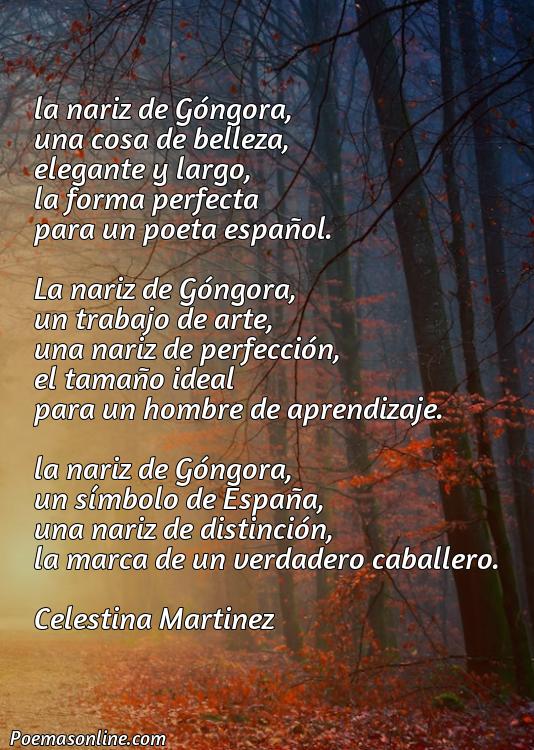 Reflexivo Poema sobre la Nariz de Góngora, 5 Poemas sobre la Nariz de Góngora