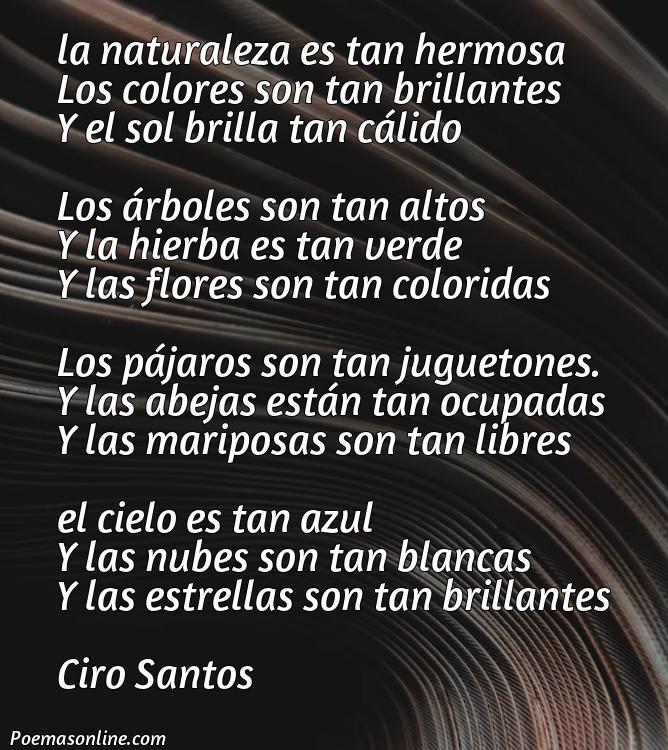 Lindo Poema sobre la Naturaleza de 4 Estrofas, Cinco Mejores Poemas sobre la Naturaleza de 4 Estrofas