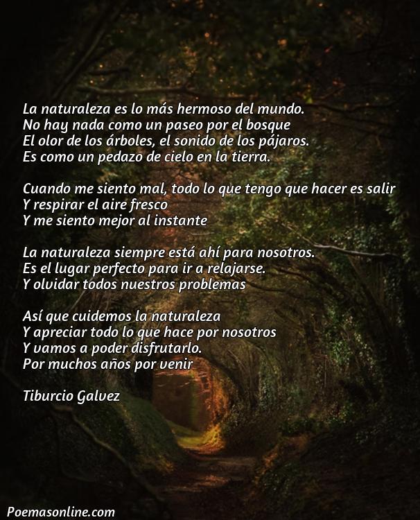 Reflexivo Poema sobre la Naturaleza de 5 Estrofas, 5 Mejores Poemas sobre la Naturaleza de 5 Estrofas