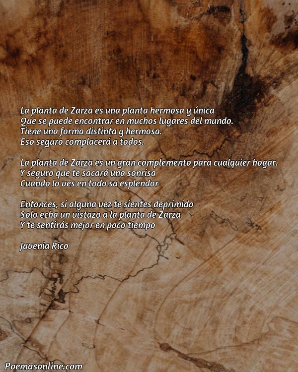 Hermoso Poema sobre la Planta Zarza, Poemas sobre la Planta Zarza