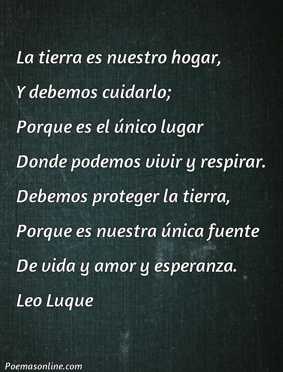 Excelente Poema sobre la Tierra y Medio Ambiente, Cinco Mejores Poemas sobre la Tierra y Medio Ambiente