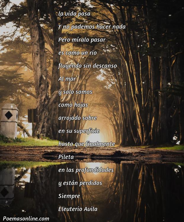 Excelente Poema sobre la Vida Pasa, 5 Mejores Poemas sobre la Vida Pasa