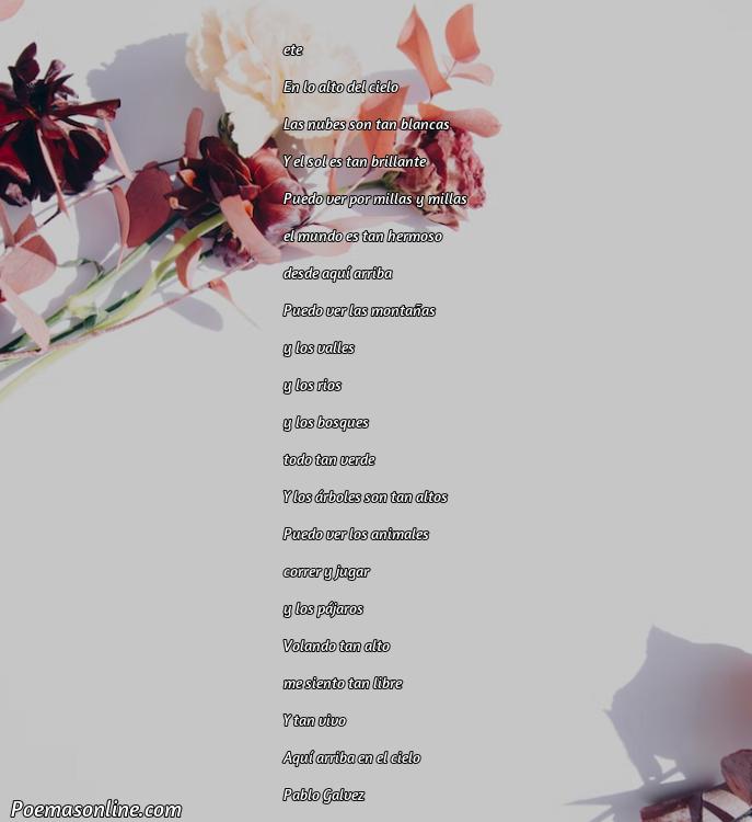 Reflexivo Poema sobre las Alturas Clarin, 5 Poemas sobre las Alturas Clarin