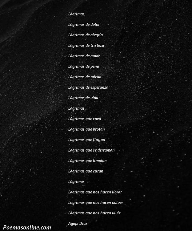 Hermoso Poema sobre las Lagrimas, Poemas sobre las Lagrimas