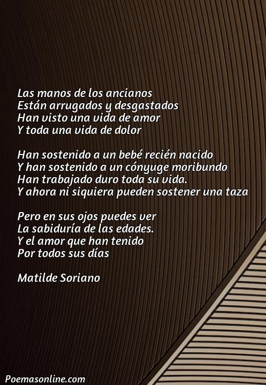 5 Mejores Poemas sobre las Manos de la Vejez