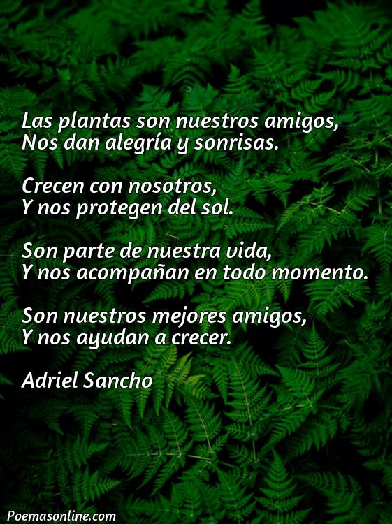 Reflexivo Poema sobre las Plantas Infantil, Poemas sobre las Plantas Infantil