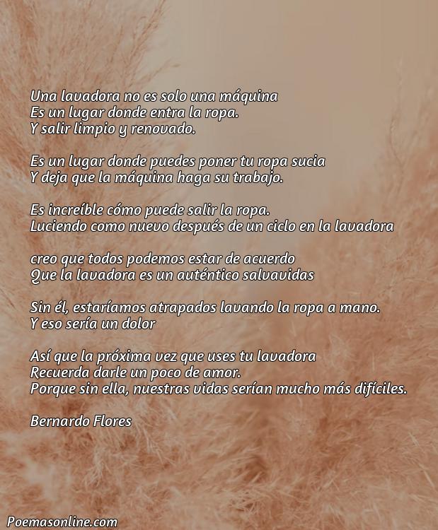 Hermoso Poema sobre Lavadora, Cinco Mejores Poemas sobre Lavadora