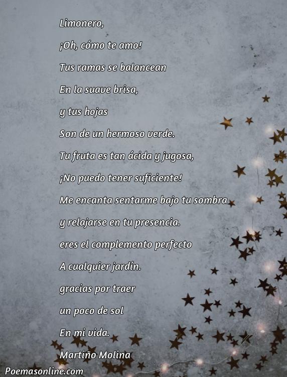 Hermoso Poema sobre Limonero, 5 Poemas sobre Limonero