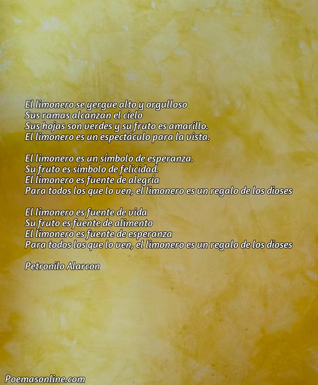 Hermoso Poema sobre Limonero, Poemas sobre Limonero