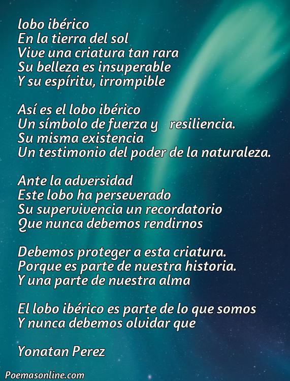 Reflexivo Poema sobre Lobo Ibérico, 5 Poemas sobre Lobo Ibérico