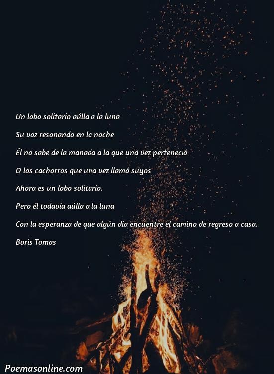 Lindo Poema sobre Lobo Solitario, Poemas sobre Lobo Solitario