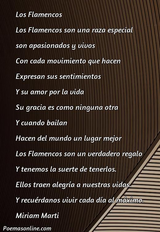 Lindo Poema sobre los Flamencos, Poemas sobre los Flamencos