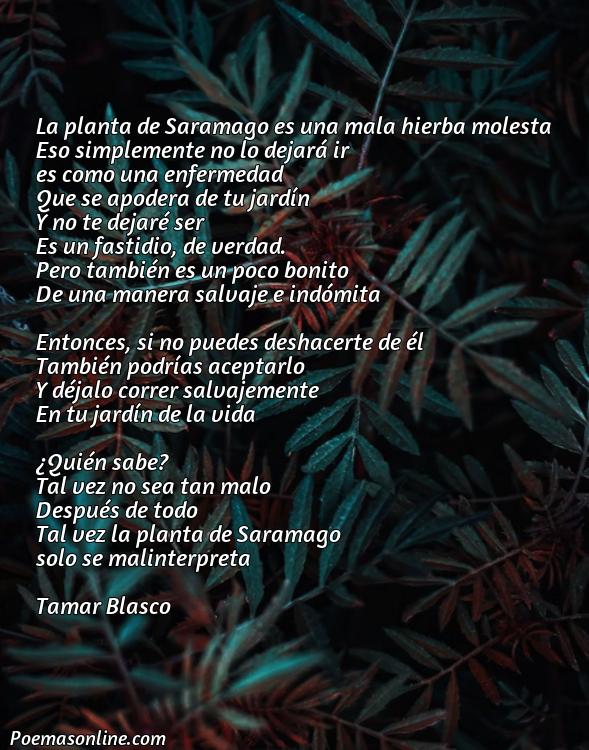 Reflexivo Poema sobre Maleza Planta Saramago, 5 Poemas sobre Maleza Planta Saramago