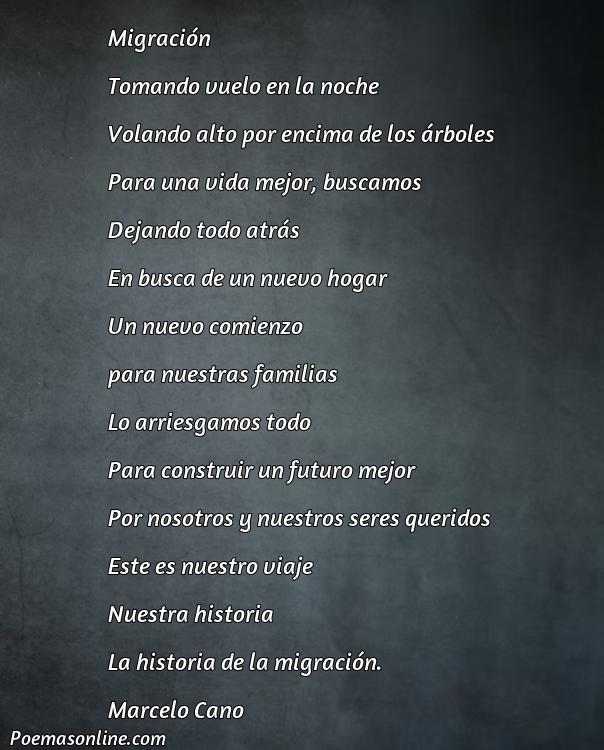 Lindo Poema sobre Migración Corto, Poemas sobre Migración Corto