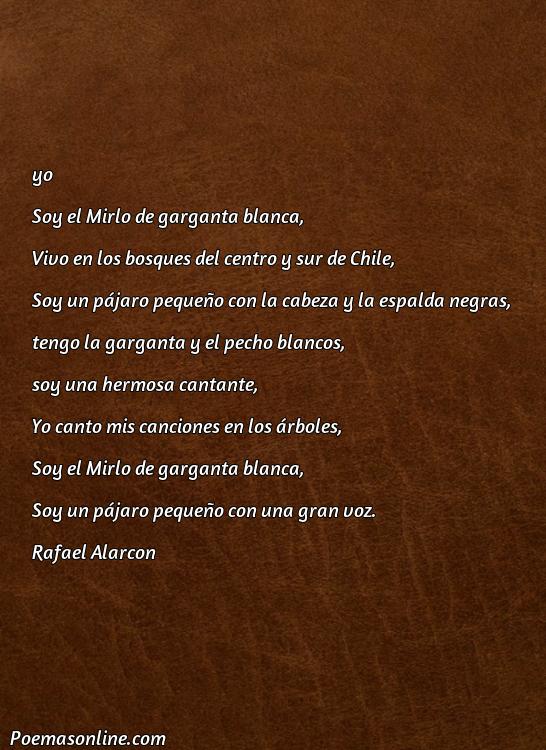 Inspirador Poema sobre Mirlo Blanco, 5 Poemas sobre Mirlo Blanco
