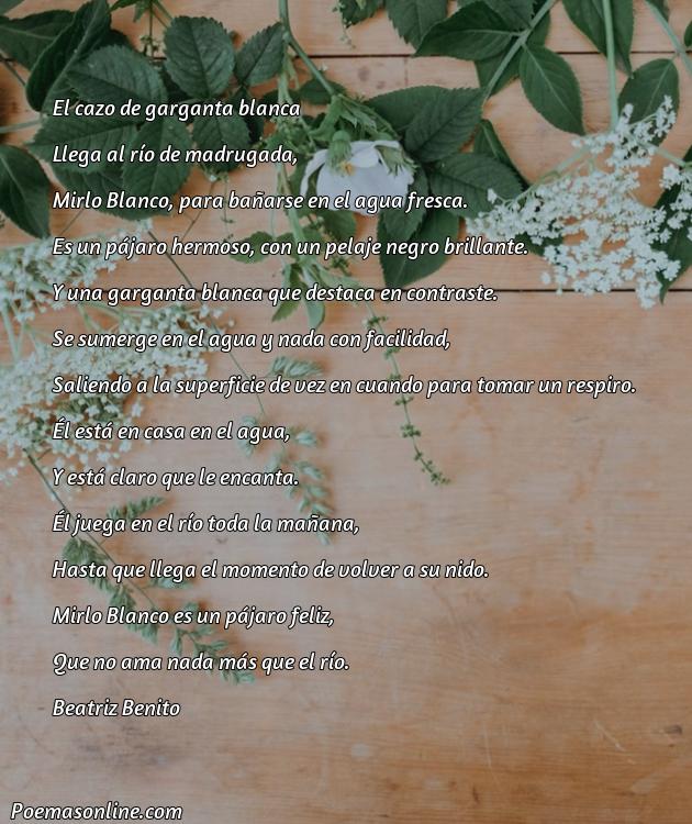 Excelente Poema sobre Mirlo Blanco, Cinco Mejores Poemas sobre Mirlo Blanco