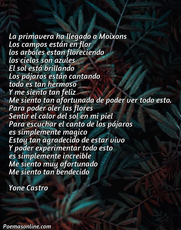 Hermoso Poema sobre Moixons Primavera Catalán, Cinco Poemas sobre Moixons Primavera Catalán