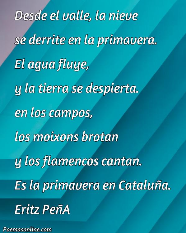 Lindo Poema sobre Moixons Primavera Catalán, Poemas sobre Moixons Primavera Catalán