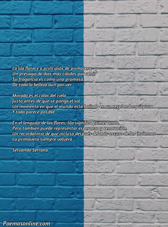 Excelente Poema sobre Morado, 5 Poemas sobre Morado