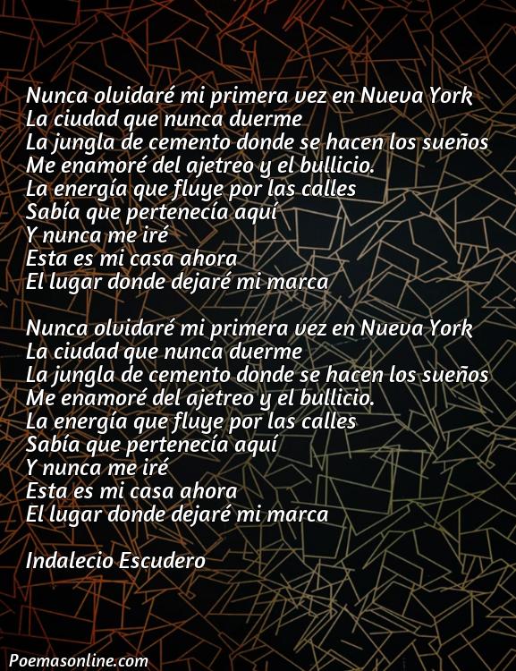 Lindo Poema sobre Nueva York, Poemas sobre Nueva York