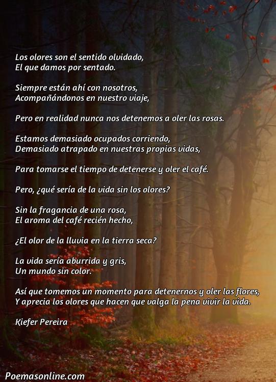 Lindo Poema sobre Olores, Poemas sobre Olores