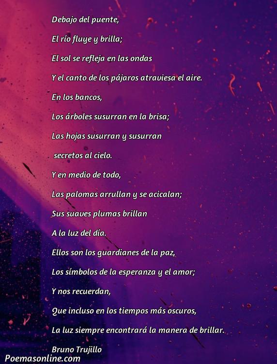 Inspirador Poema sobre Palomas, Cinco Poemas sobre Palomas